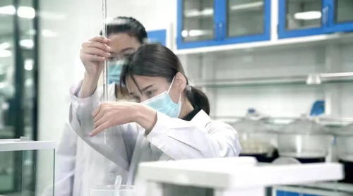 專訪「生生不息」 當寵物食品遇上非商業思維，一場關于愛與責任的奔赴