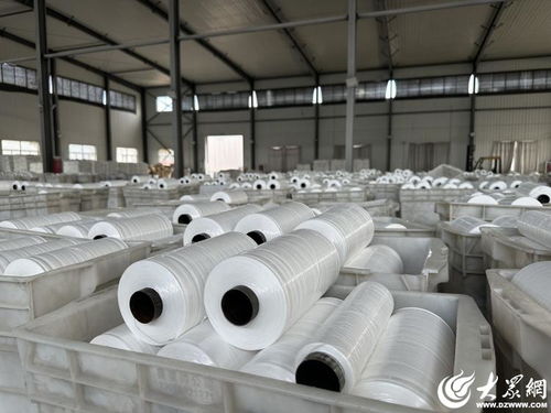 解碼經(jīng)緯交錯(cuò)間的堅(jiān)守與創(chuàng)新——民企陽谷廣信的小小編織袋織出大天地